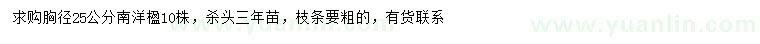 求購胸徑25公分南洋楹