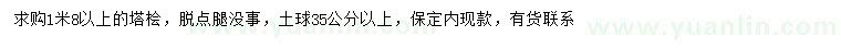 求購1.8米以上塔檜