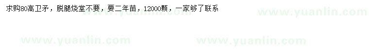 求購高80公分衛(wèi)矛