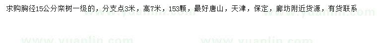 求購胸徑15公分欒樹