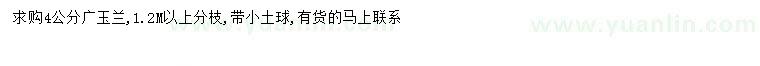 求購4公分廣玉蘭