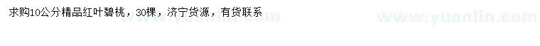 求購10公分紅葉碧桃