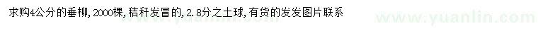 求購4公分垂柳