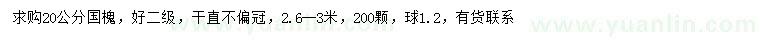 求購20公分國槐