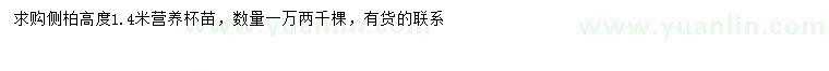 求購(gòu)高1.4米側(cè)柏
