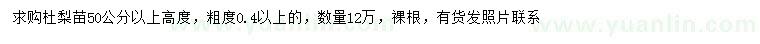 求購高50公分以上杜梨