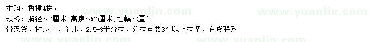 求購胸徑40公分香樟
