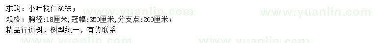 求購胸徑18公分小葉欖仁