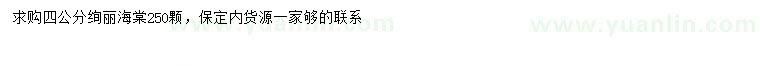 求購(gòu)4公分絢麗海棠