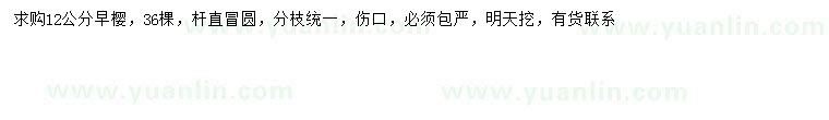 求購12公分早櫻