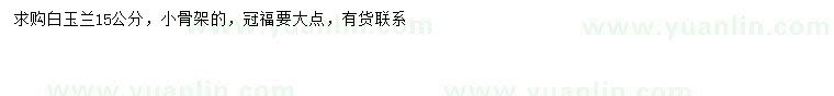 求購15公分白玉蘭