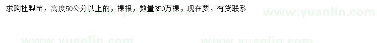 求購高50公分以上杜梨