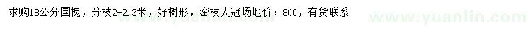 求購(gòu)18公分國(guó)槐