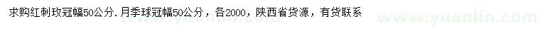 求購(gòu)冠幅50公分紅刺玫、月季球