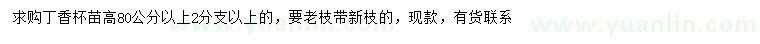 求購高80公分以上丁香