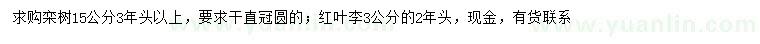 求購(gòu)15公分欒樹(shù)、3公分紅葉李