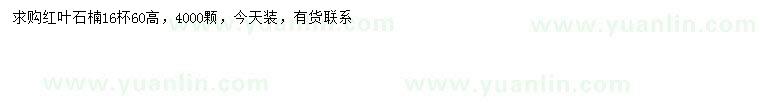求購(gòu)高60公分紅葉石楠