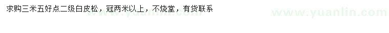 求購3.5米白皮松