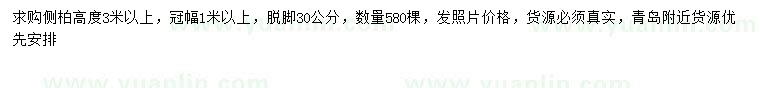 求購(gòu)高3米以上側(cè)柏