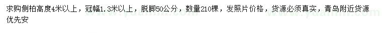 求購(gòu)高4米以上側(cè)柏