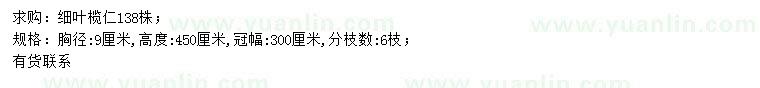 求購胸徑9公分細(xì)葉欖仁
