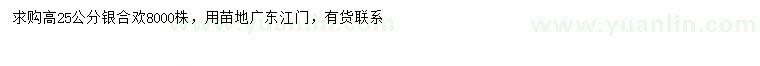 求購高25公分銀合歡