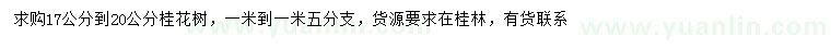 求購17-20公分桂花樹