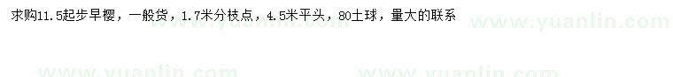 求購11.5公分以上早櫻