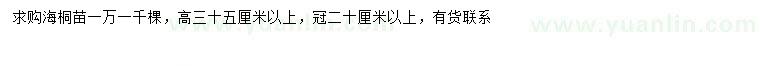 求購高35公分以上海桐