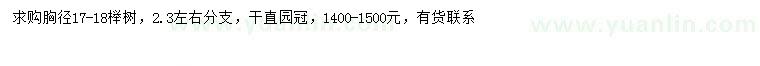 求購胸徑17-18公分櫸樹