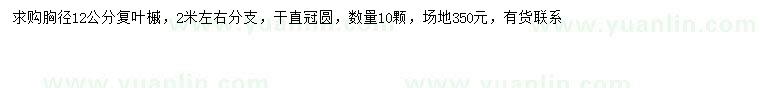 求購胸徑12公分復(fù)葉槭