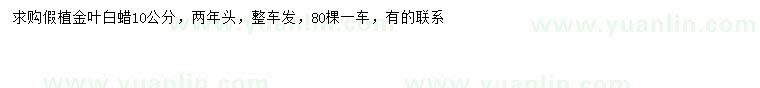 求購10公分金葉白蠟