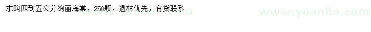求購(gòu)4-5公分絢麗海棠