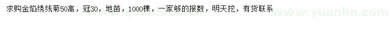 求購高50公分金焰繡線菊