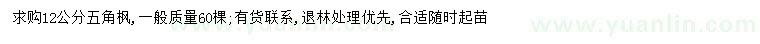 求購12公分五角楓