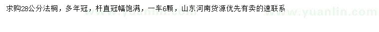 求購28公分法桐
