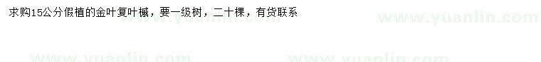 求購15公分金葉復(fù)葉槭