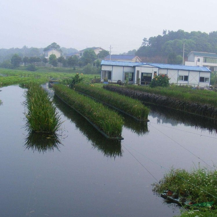 濕地景觀浮島 綠化工程承包 水體造景觀賞 污水治理浮床