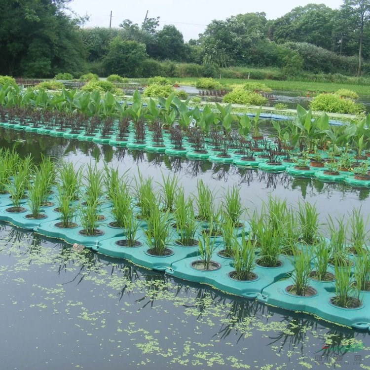 河道生態(tài)浮島 水生態(tài)修復(fù) 人工浮床材料 支持定制 浮動濕地 水面綠化