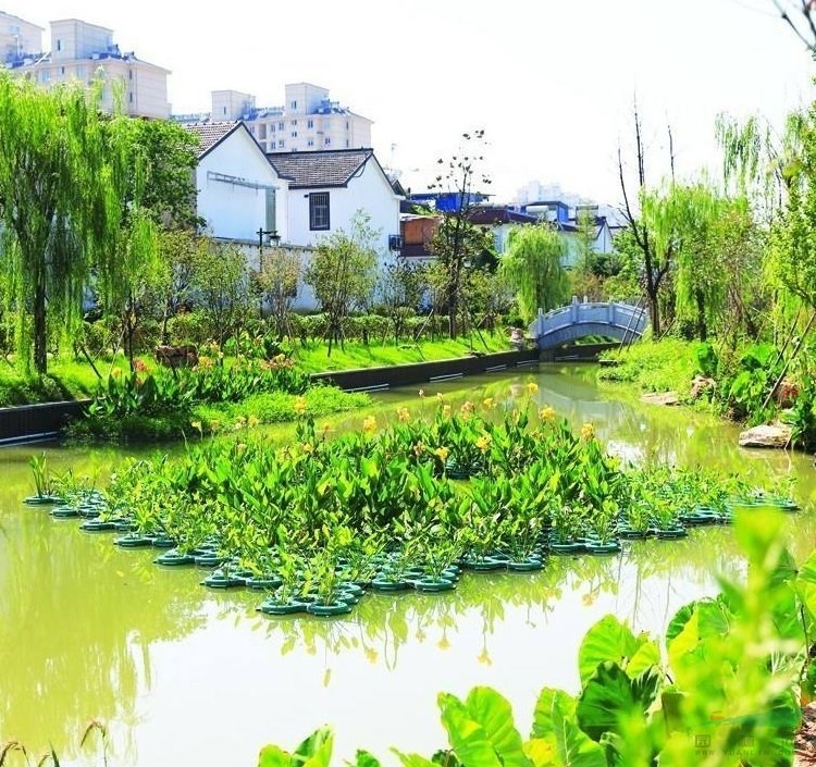 生態(tài)浮床 污水凈化 湖面造景綠化工程 水體治理復(fù)合纖維浮島