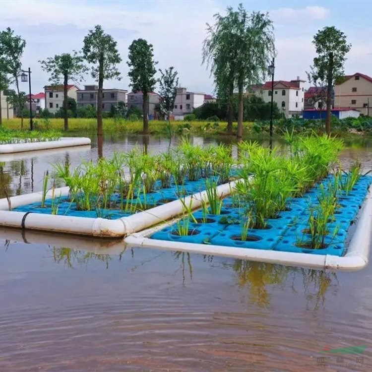 生態(tài)浮島 人工浮床 用于河道公園水質(zhì)提升 濕地綠化工程改造 水面綠化