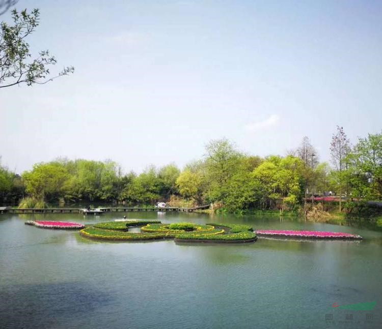 人工浮床安裝 生態(tài)浮島水體綠化 河道治理種植水面浮體