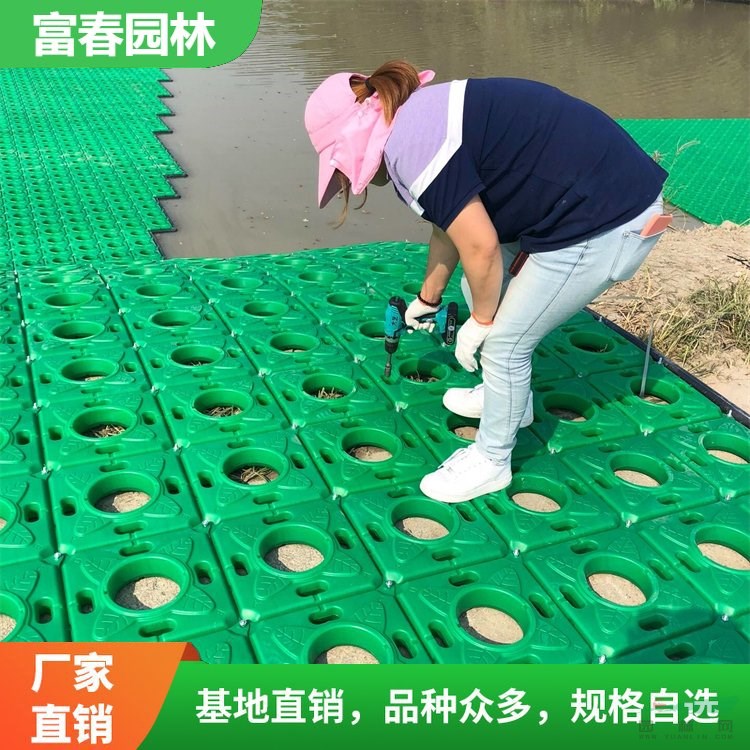 人工生態(tài)浮島種植 凈化水質 浮床 水體綠化 河道治理