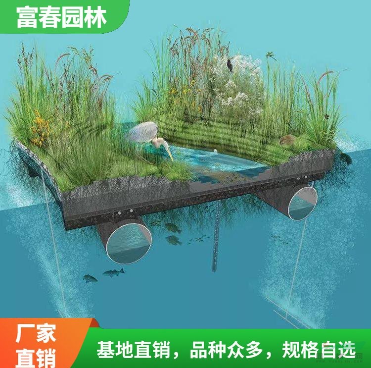 人工生態(tài)浮島種植 凈化水質 浮床 水體綠化 河道治理
