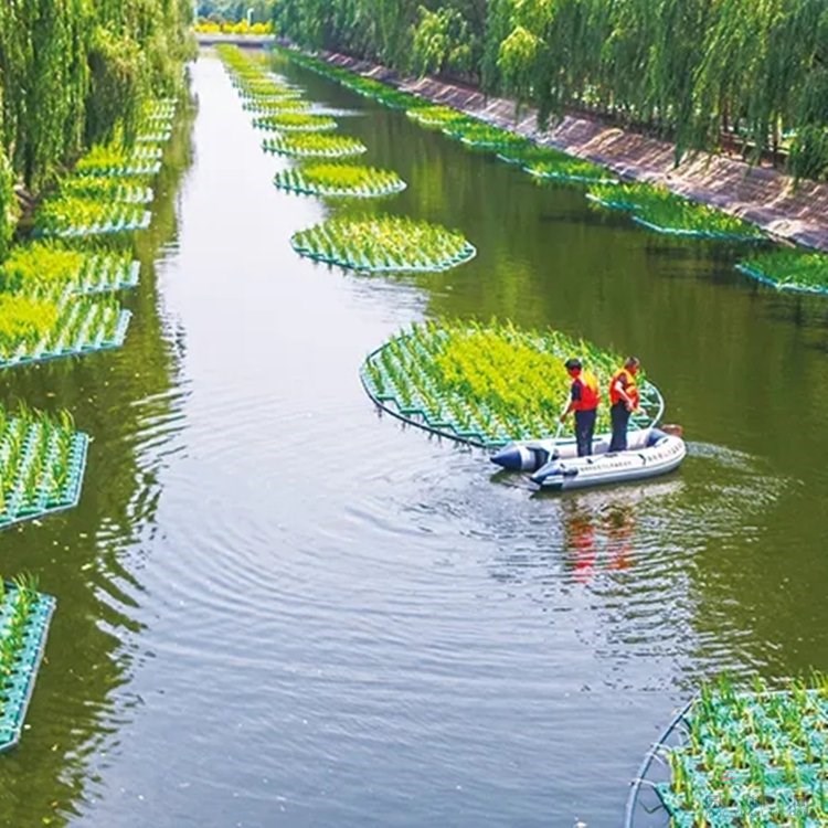 人工浮島基地 漂浮濕地 設(shè)計(jì)安裝 河道凈化水質(zhì) 污水處理 水面綠化