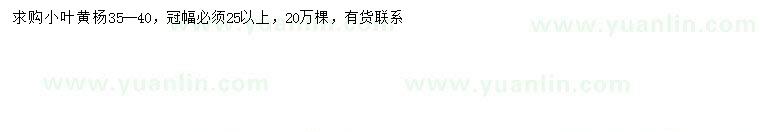 求購35-40公分小葉黃楊