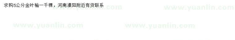 求購5公分金葉榆