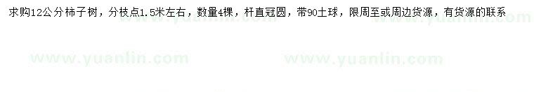 求購(gòu)12公分柿子樹