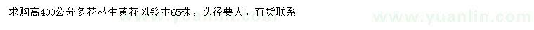 求購高400公分多花叢生黃花風(fēng)鈴木
