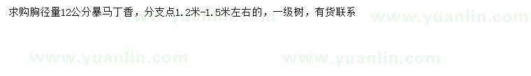 求購胸徑12公分暴馬丁香